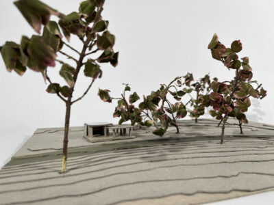 Aperçu ROUSSEAU_Achille_06_resultat